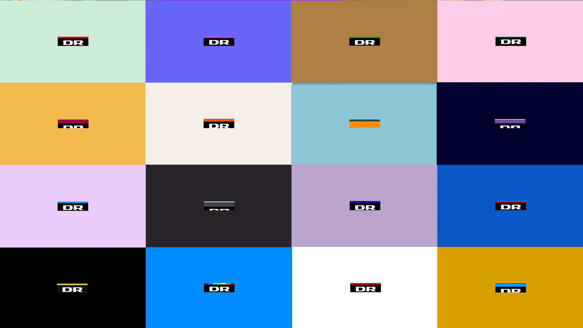 DR Rebranding — image 4