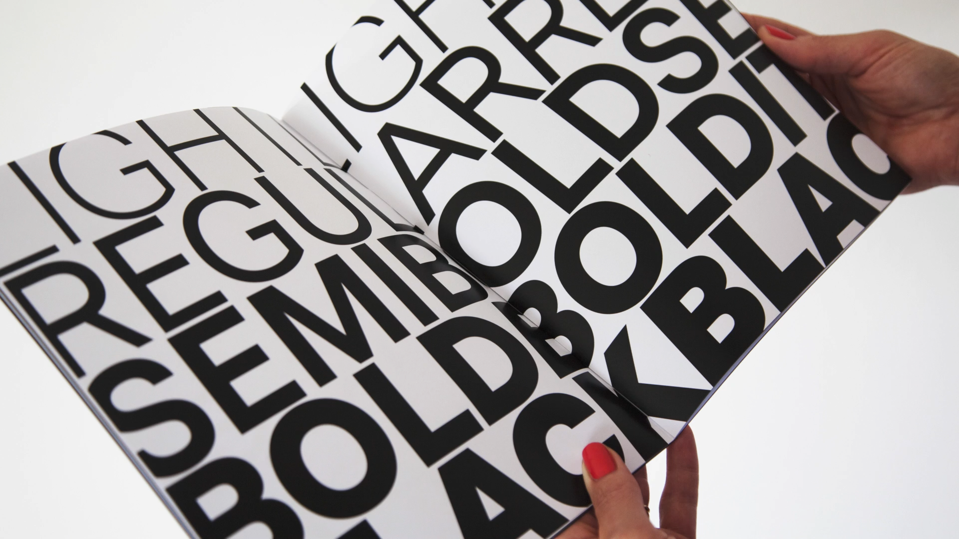 DR Rebranding — image 5