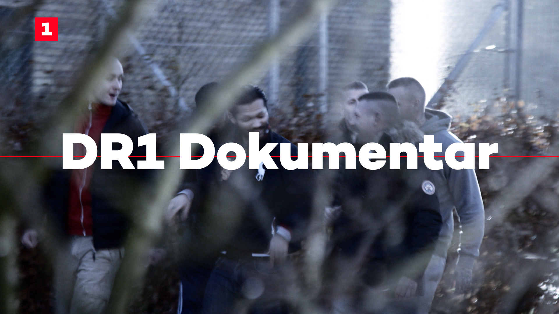 DR1 Airlook — image 1