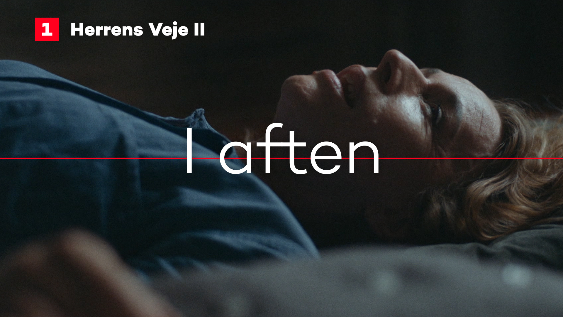 DR1 Airlook — image 2