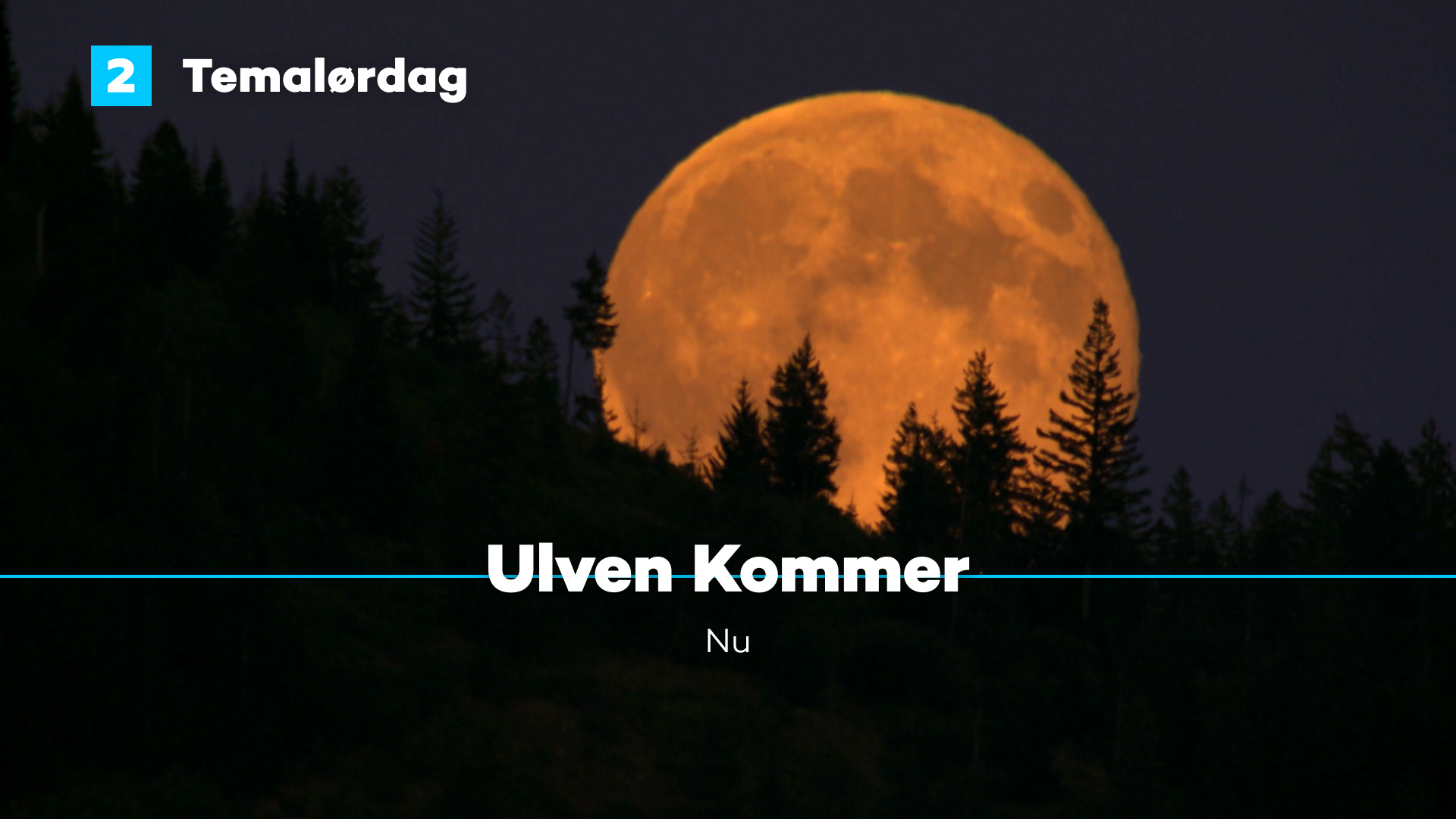 DR1 Airlook — image 5