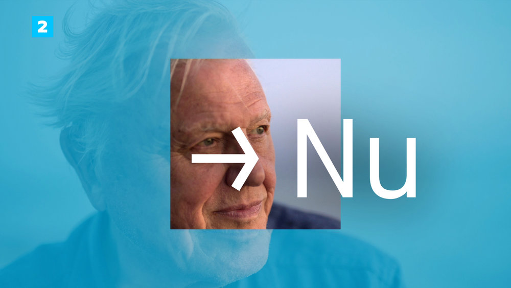 DR2 Airlook — image 1