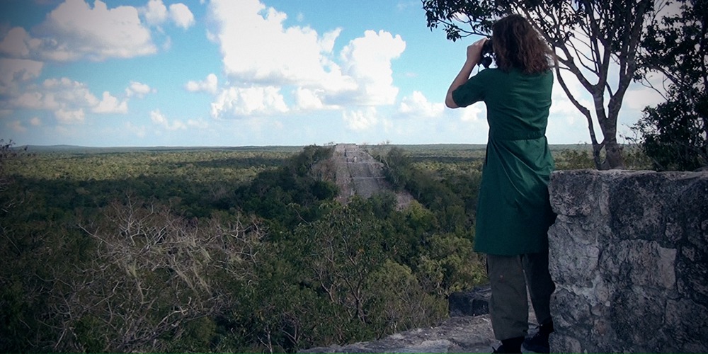 Getting Back in the Whole — image 6